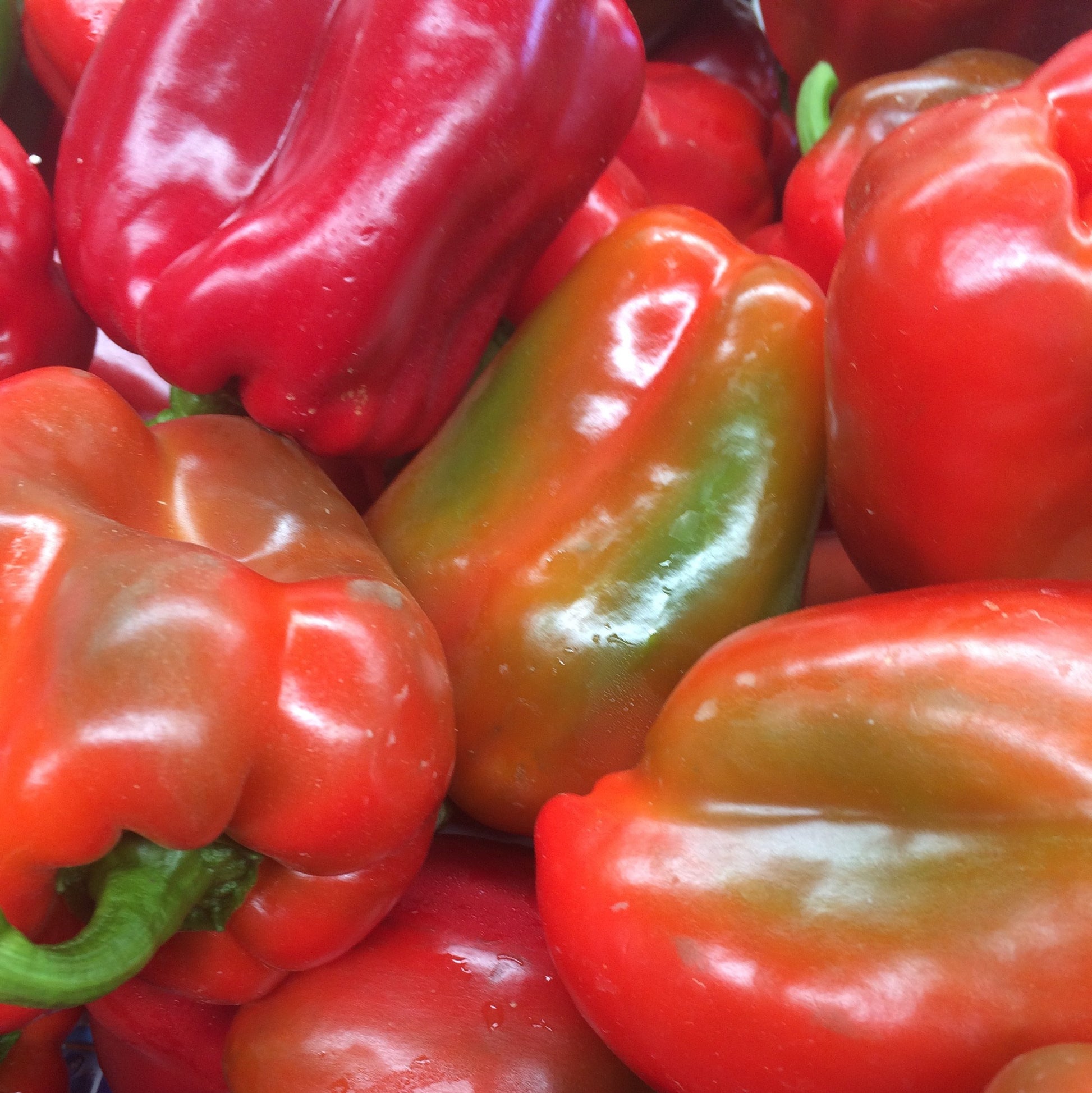 Capsicum, stocked at Joy Wholefoods, organic and spray free.