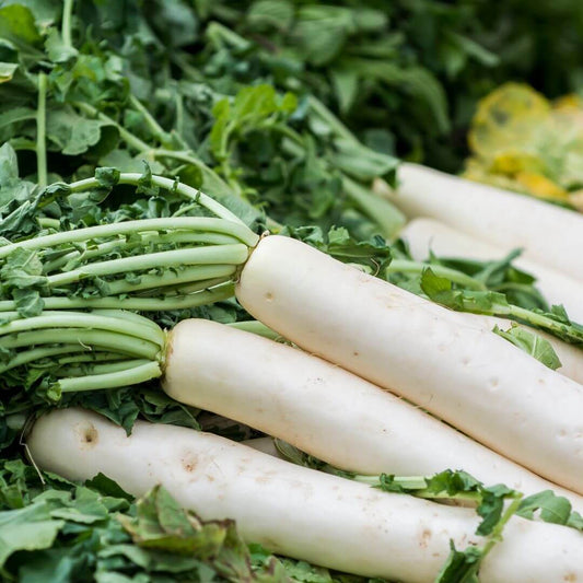 DaikonRaddish, from the Joy Wholefoods range.