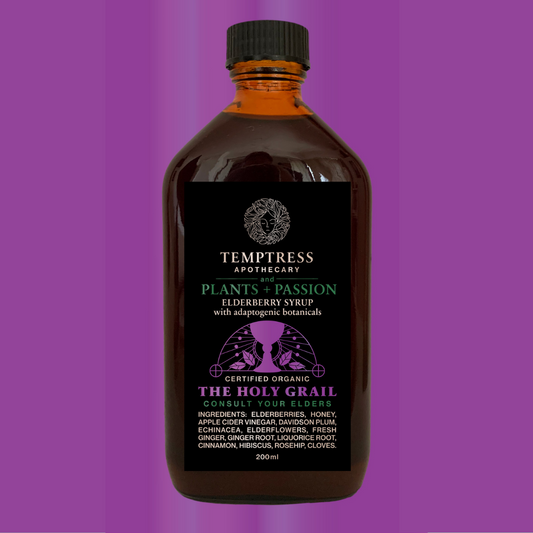 Medicinal Elderberry Tonic organic local, delivered fresh by Joy Wholefoods.