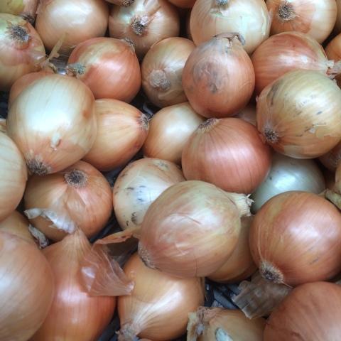 Onions brown 900x, available from Joy Wholefoods.