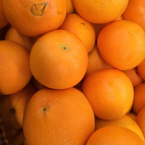 Oranges spray free organic fruit Brisbane, from the Joy Wholefoods range.