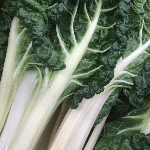 Silverbeet spray free organic fruit vegetables Brisbane, part of the Joy Wholefoods organic range.