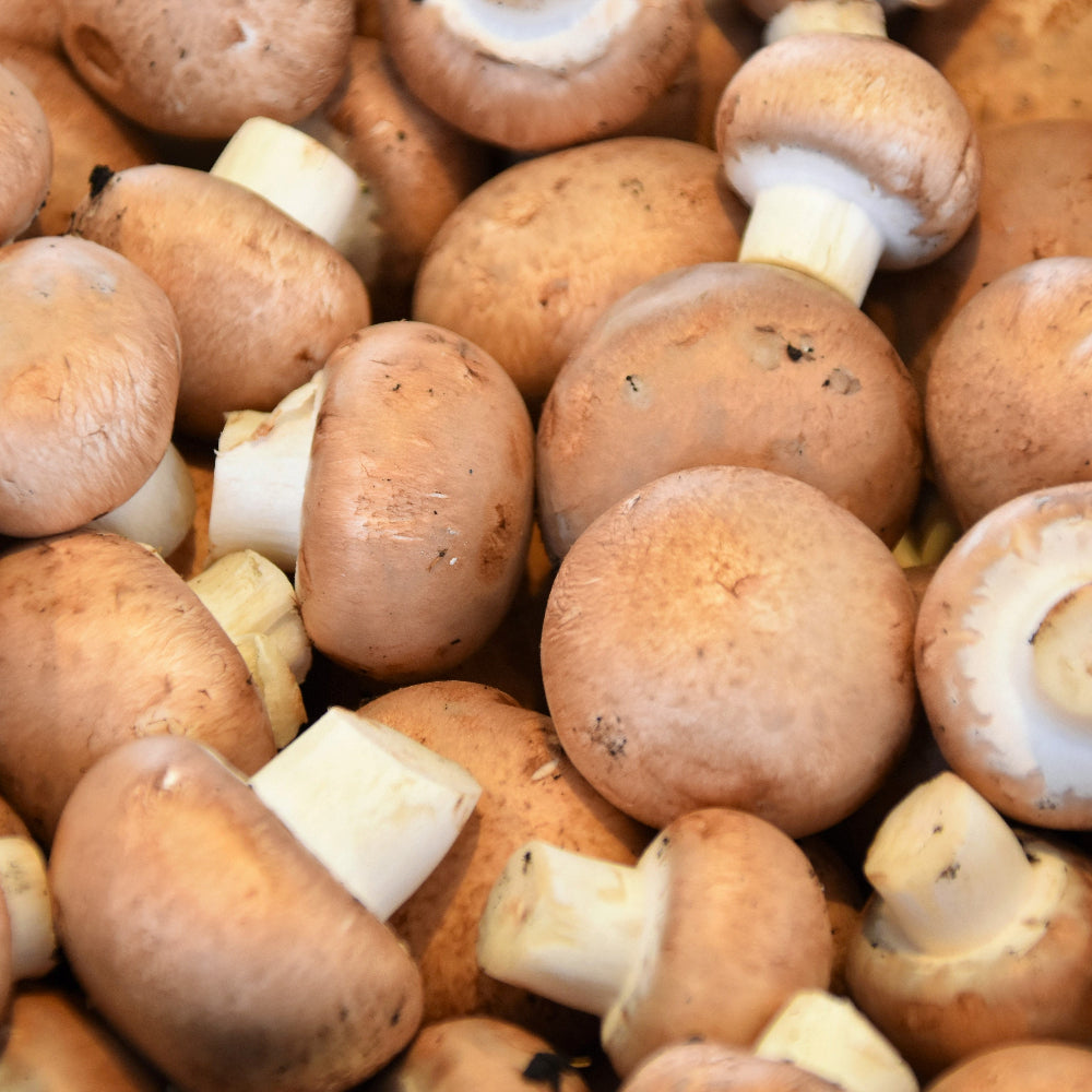spray-free-organic-where-i-can-buy-lion's-mane-mushrooms-fruit-and-vegetables-delivery-brisbane-gold-coast