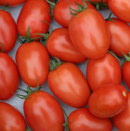 farm-fresh-spray-free-organic-fruit-and-vegetables-shops-delivery