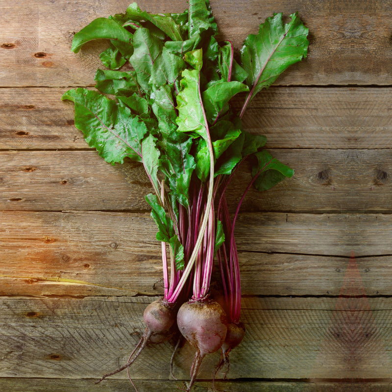 Beetroot bunches, stocked at Joy Wholefoods, organic and spray free.