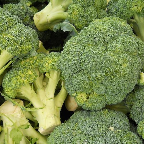 Broccoli organic fruit vegetables Brisbane, available from Joy Wholefoods.