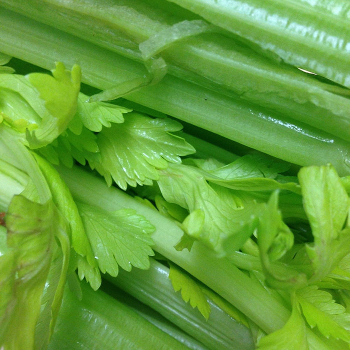 Celery half organic fruits vegetables Brisbane, stocked at Joy Wholefoods, organic and spray free.