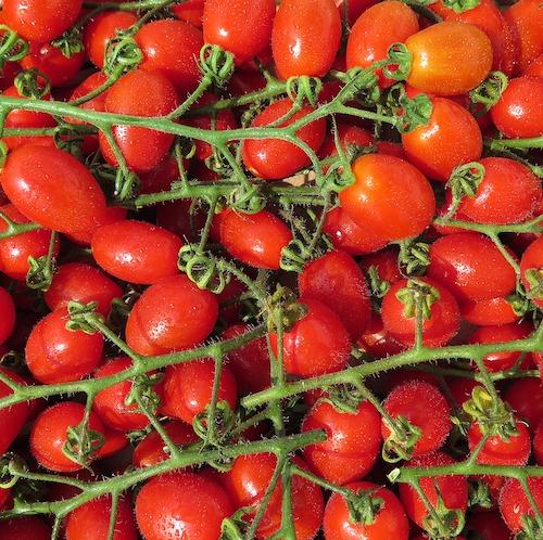 Cherry tomatoes organic vegetables fruit Brisbane, available from Joy Wholefoods.