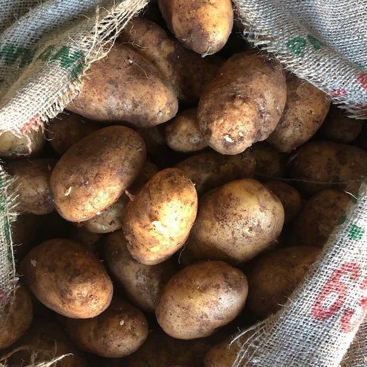 Dutch cream potatoes organic vegetables fruits Brisbane, stocked at Joy Wholefoods, organic and spray free.