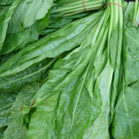 English spinach organic leafy greens vegetables Brisbane, available from Joy Wholefoods.