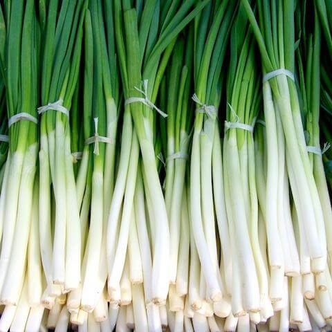 Green shallots organic fruit vegetable Brisbane, available from Joy Wholefoods.