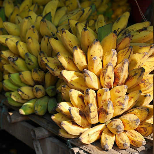 Lady finger bananas organic fruit vegetables Brisbane, available from Joy Wholefoods.