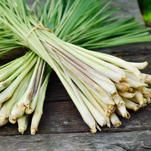 Lemongrass organic vegetables herbs Brisbane, part of the Joy Wholefoods organic range.