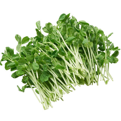 Organic snow pea sprouts grown spray free by local Queensland farmers for Joy Wholefoods fruit and veg delivery.